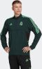 Adidas Real Madrid Presentatie Trainingsjack Europees 2022 2023 Donkergroen online kopen