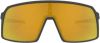 Oakley Zonnebril Sutro Prizm 2021 zonnebril, Unisex(dames/heren ), Sportbril online kopen