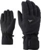 Ziener Gary AS Ski Handschoenen Heren online kopen