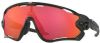 OAKLEY FietsJawbreaker Prizm sportbril, Unisex (dames / heren), Sportbril, Fiets online kopen