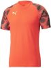 PUMA Trainingsshirt IndividualFINAL WK Rood/Zwart online kopen